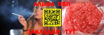 тгк Гай