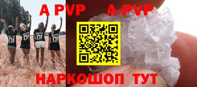 тгк Гай