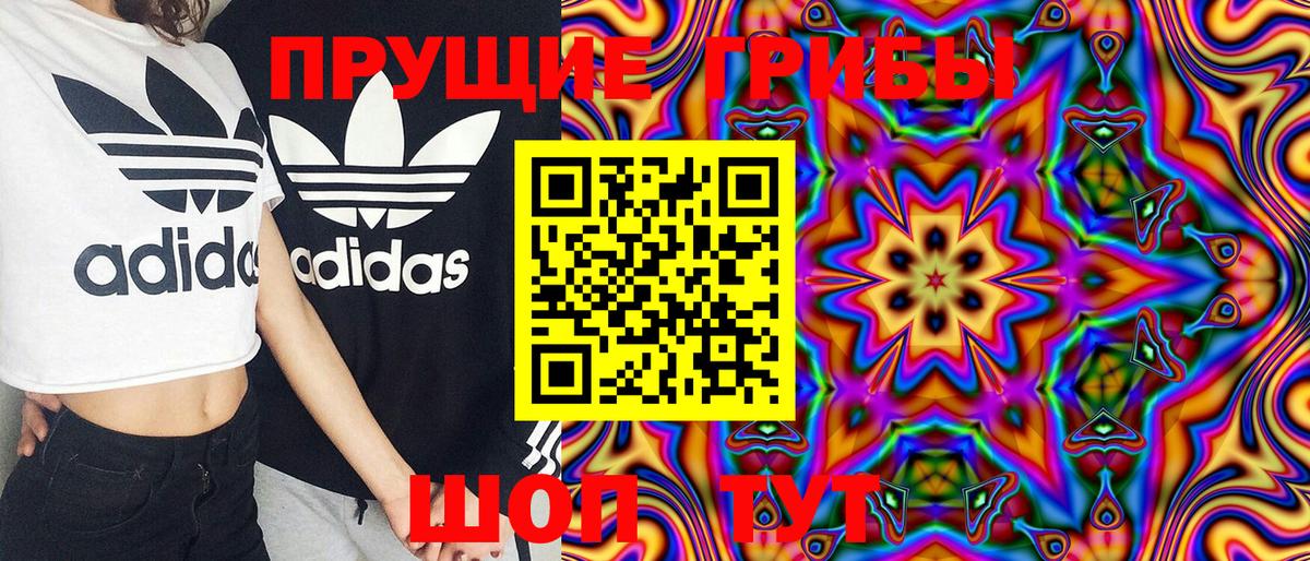 Псилоцибиновые грибы Psilocybe Нарткала