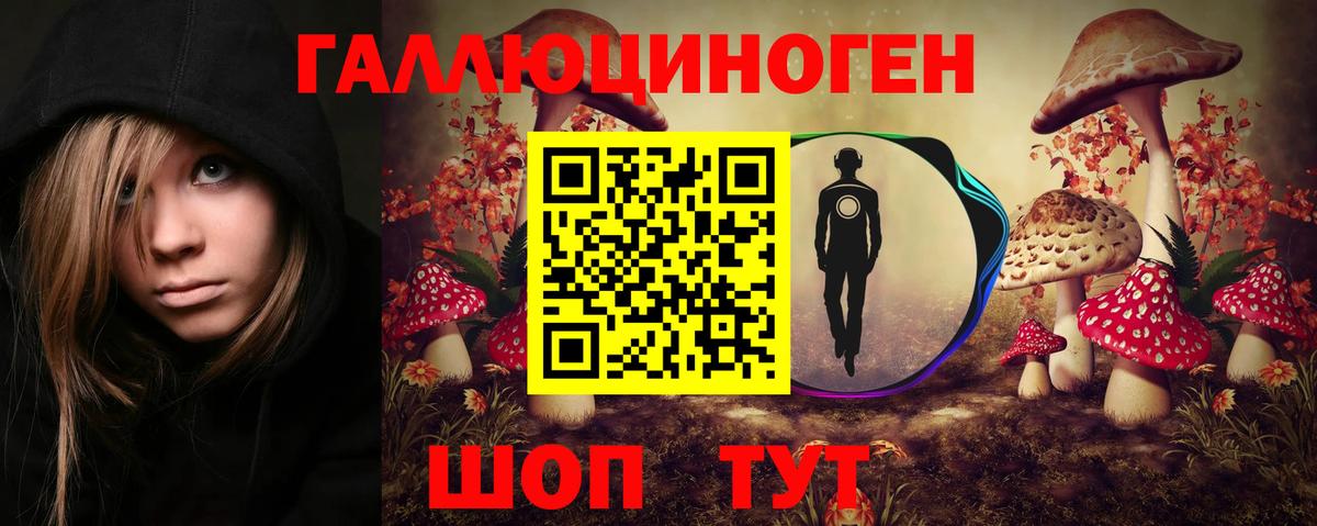 Галлюциногенные грибы Psilocybine cubensis  Вход с VPN  Нарткала  Галлюциногенные грибы MAGIC MUSHROOMS 